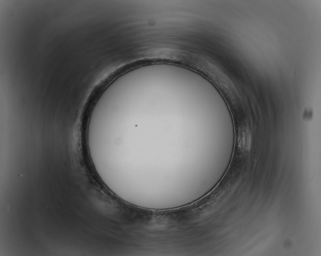 X0000103970388200809261838