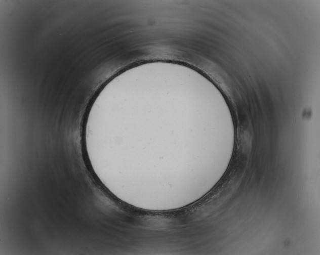 X0000103970389200809261838