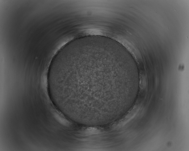 X0000103970390200809261838