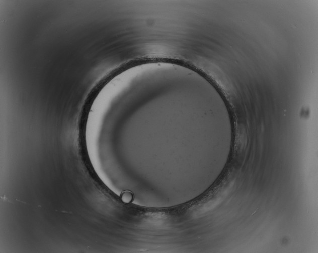 X0000103970391200809261838