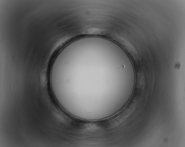 X0000103970392200809261838