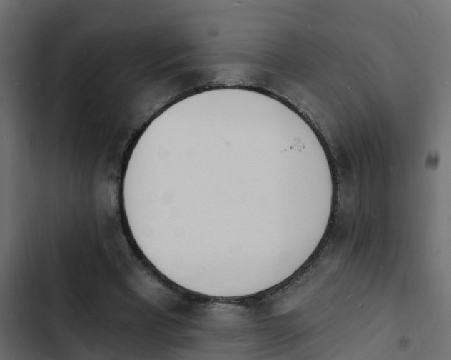 X0000103970393200809261838