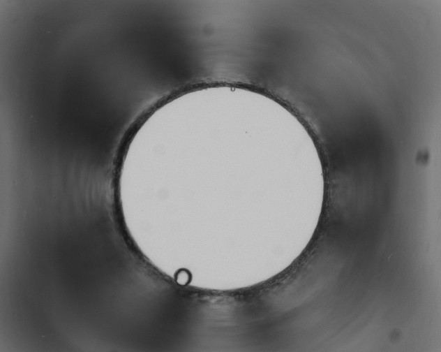 X0000103970395200809261838