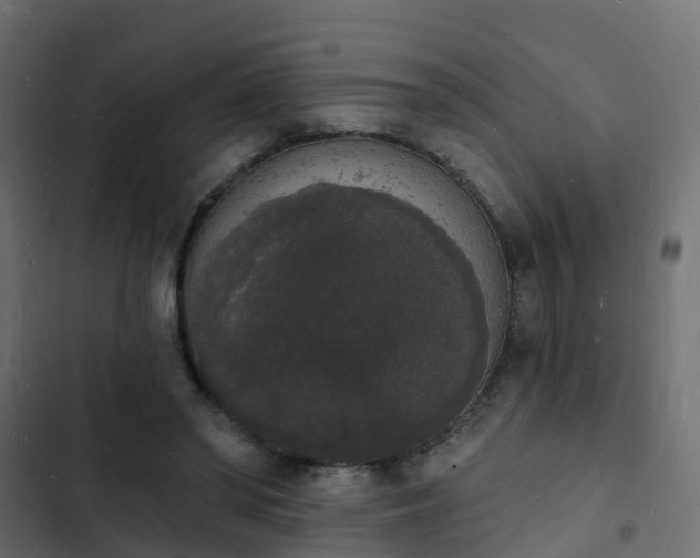 X0000103970398200809261838