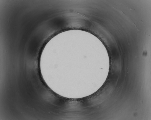 X0000103970399200809261838