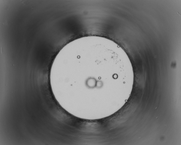 X0000103970401200809261838