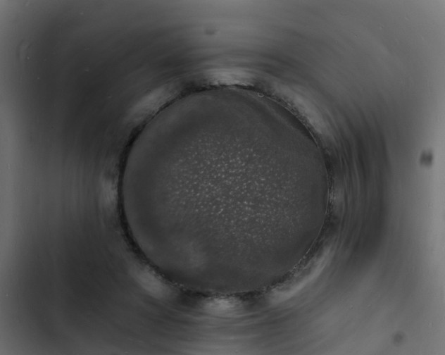 X0000103970402200809261838