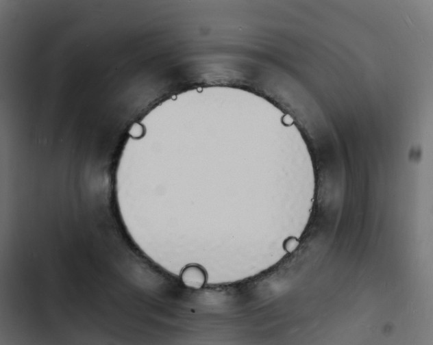 X0000103970405200809261838