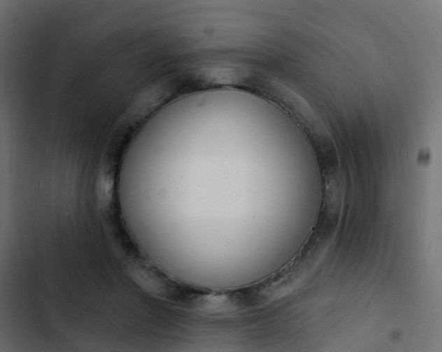 X0000103970406200809261838