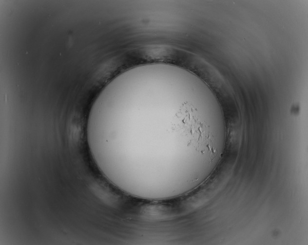 X0000103970408200809261838