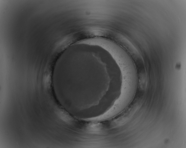 X0000103970410200809261838