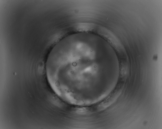 X0000103970411200809261838