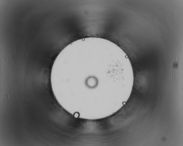 X0000103970413200809261838