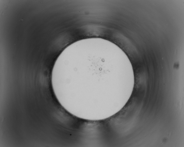 X0000103970414200809261838