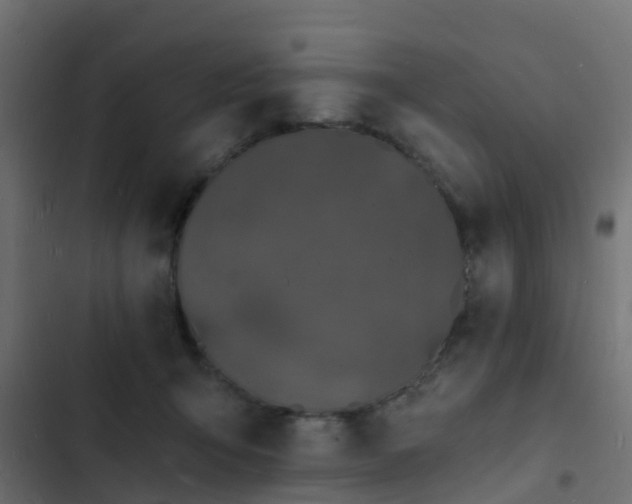 X0000103970415200809261838