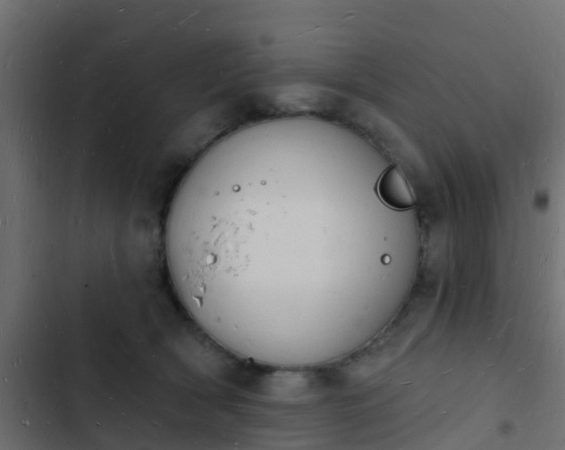 X0000103970418200809261838