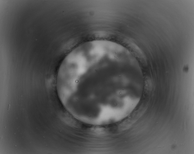 X0000103970419200809261838