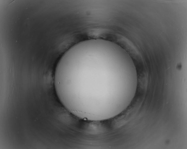 X0000103970420200809261838