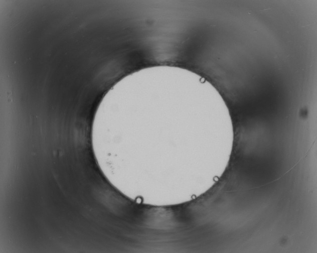 X0000103970421200809261838