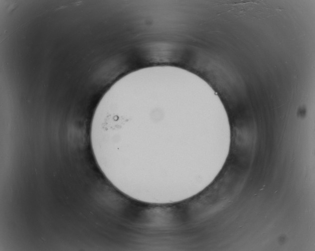 X0000103970422200809261838