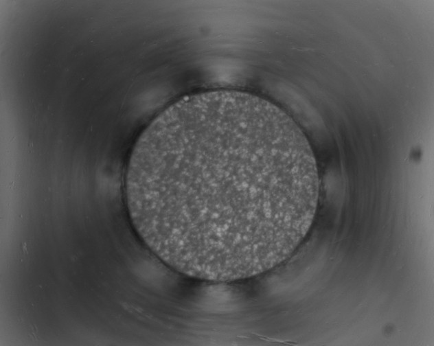 X0000103970423200809261838