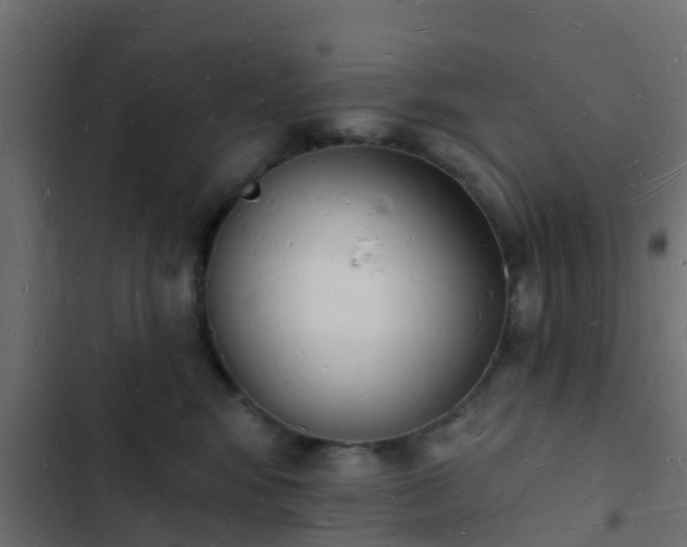 X0000103970424200809261838