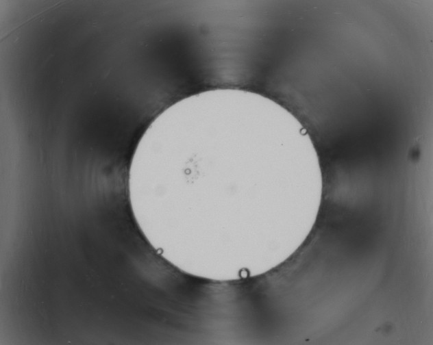 X0000103970425200809261838