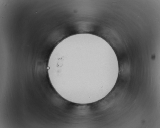 X0000103970426200809261838