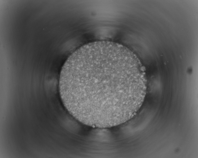 X0000103970427200809261838