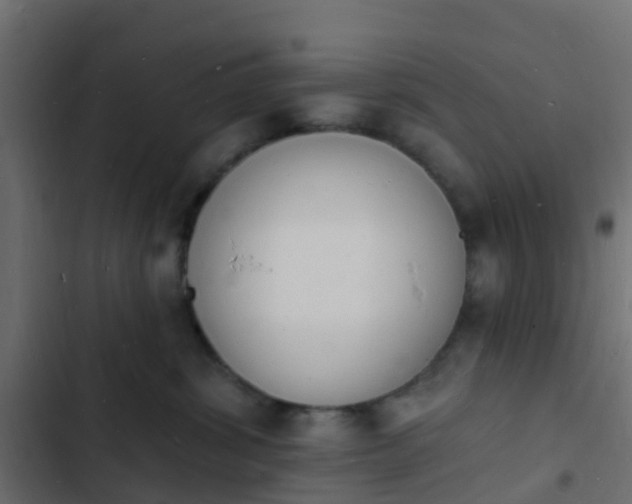 X0000103970428200809261838