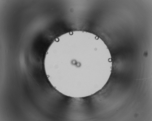 X0000103970429200809261838