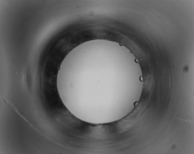 X0000103970430200809261838