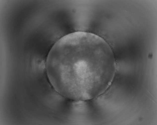 X0000103970431200809261838