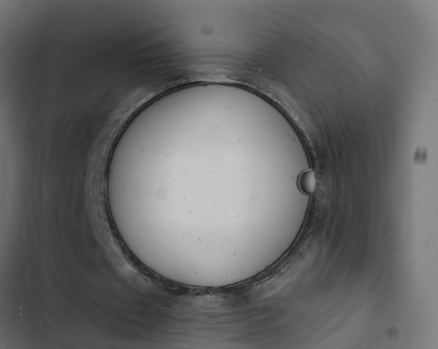 X0000103970433200809261837