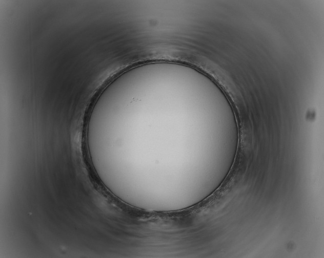 X0000103970434200809261837