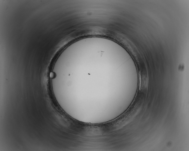 X0000103970435200809261837