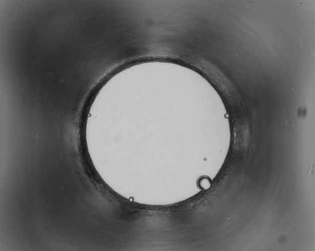 X0000103970436200809261837