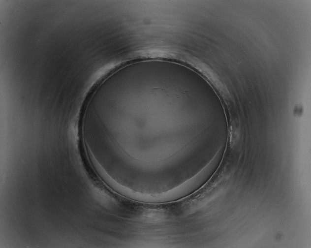 X0000103970438200809261837