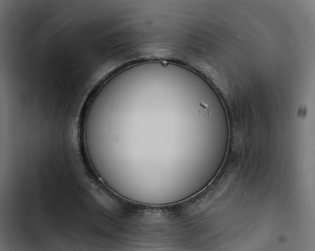 X0000103970439200809261837