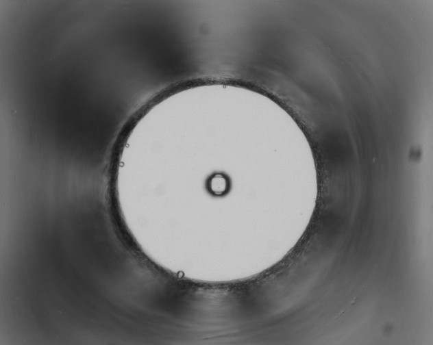 X0000103970440200809261837