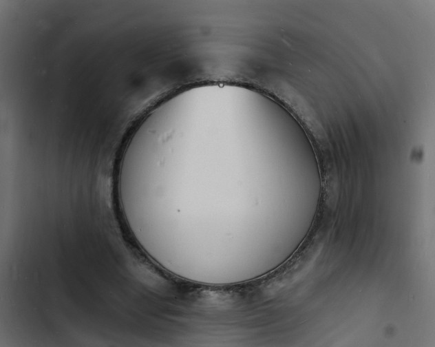 X0000103970442200809261837