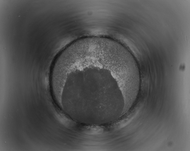 X0000103970443200809261837