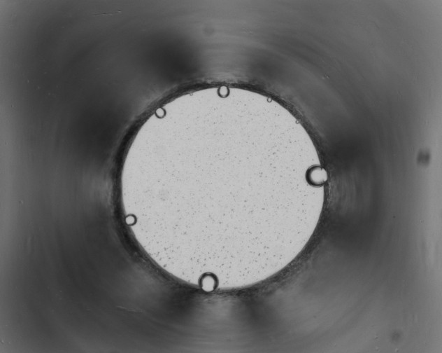 X0000103970444200809261837