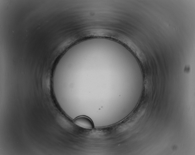 X0000103970445200809261837