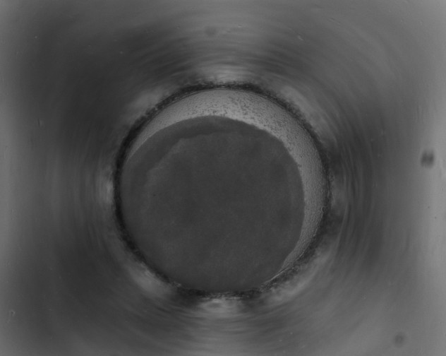 X0000103970447200809261837