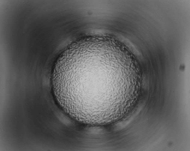 X0000103970449200809261837