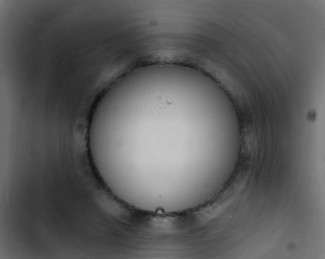 X0000103970450200809261837