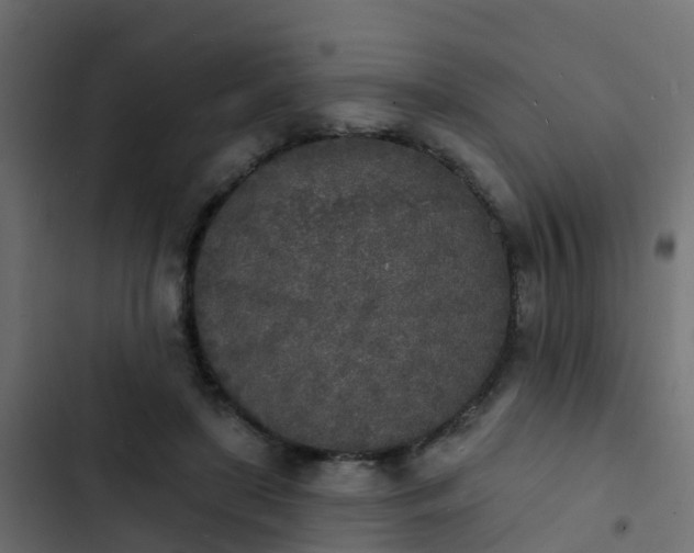 X0000103970451200809261837