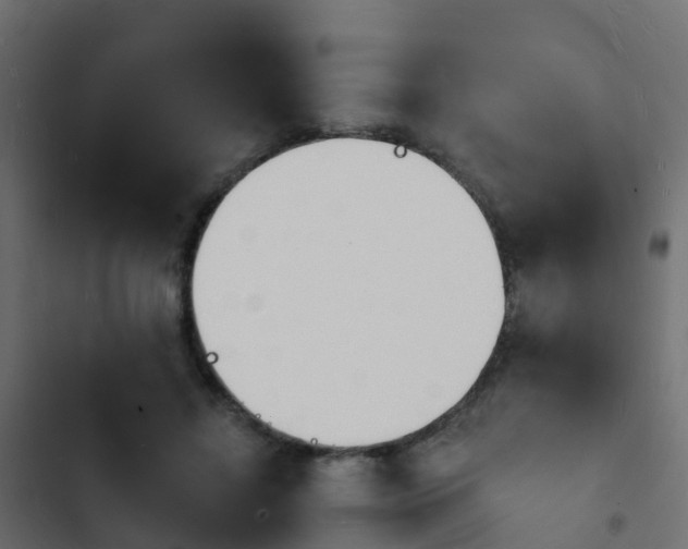 X0000103970452200809261837