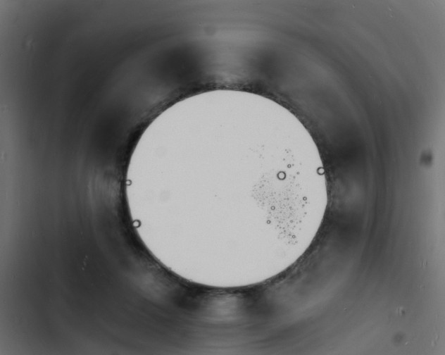 X0000103970456200809261837